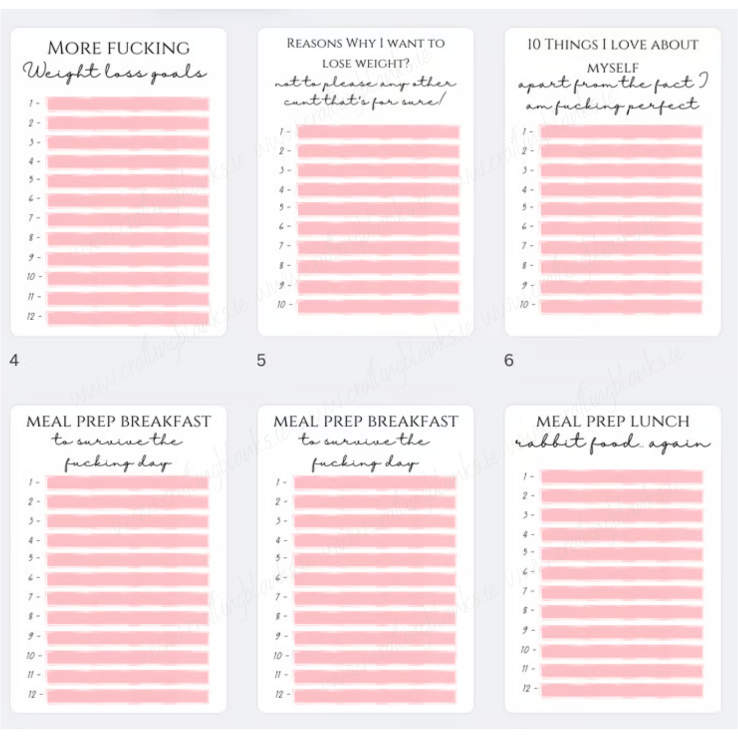 DIGITAL FILE - *SWEARY* Weight Loss Planner