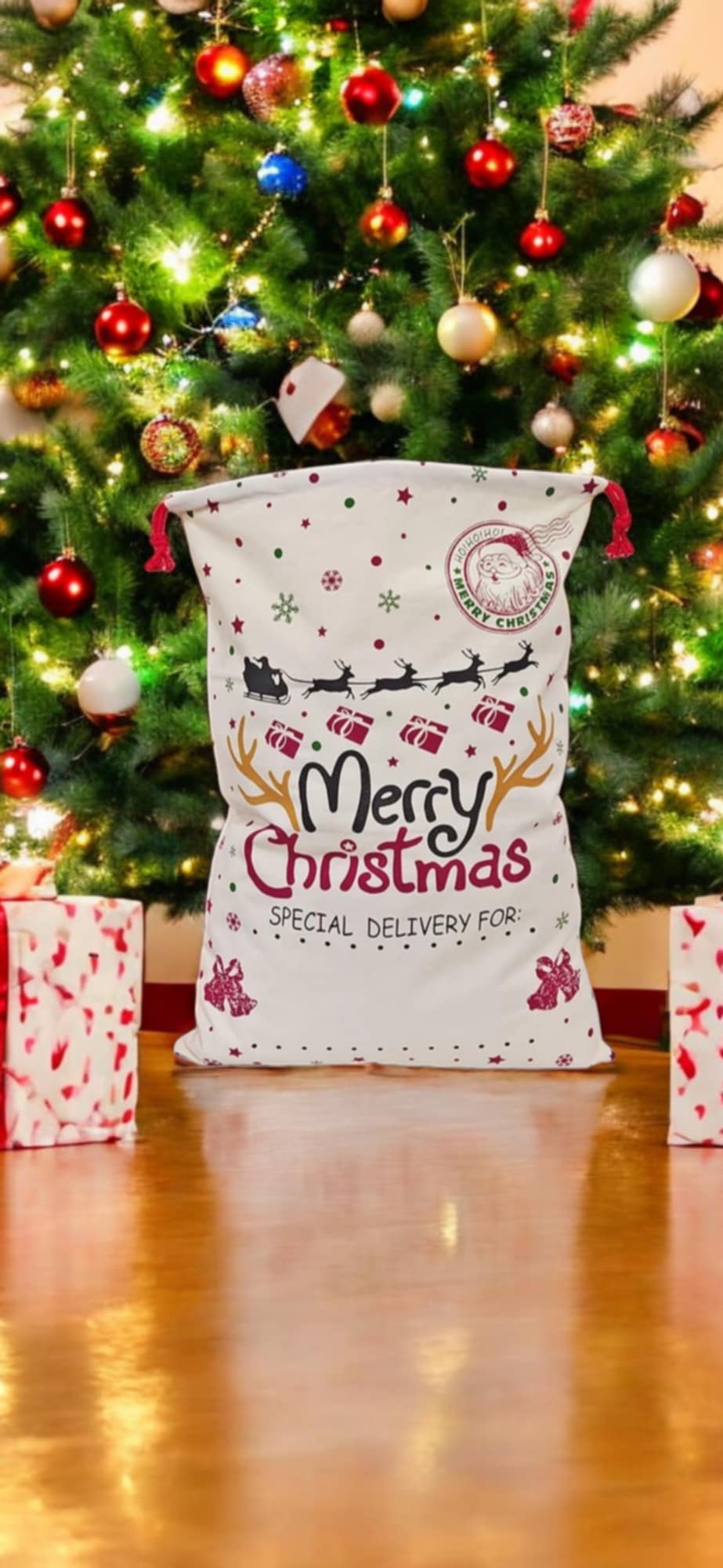 Merry Christmas Antler Christmas Sack